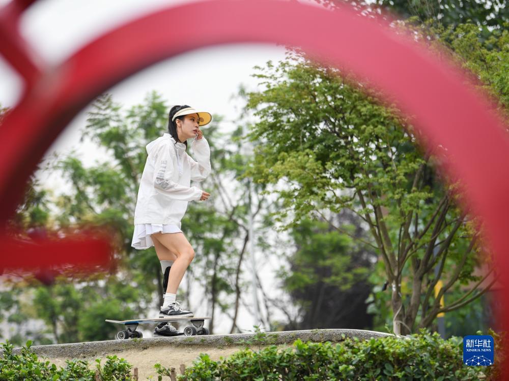 小太阳网登陆